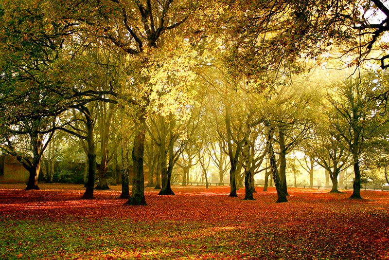 Giati ksylo – Συμβουλές