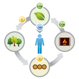 Kyklos kaysis – Περιβάλλον